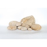 Tamago Rock L 3,5-5 kg