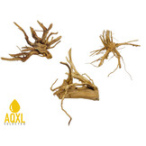 Spider Wood XS 11-20 CM