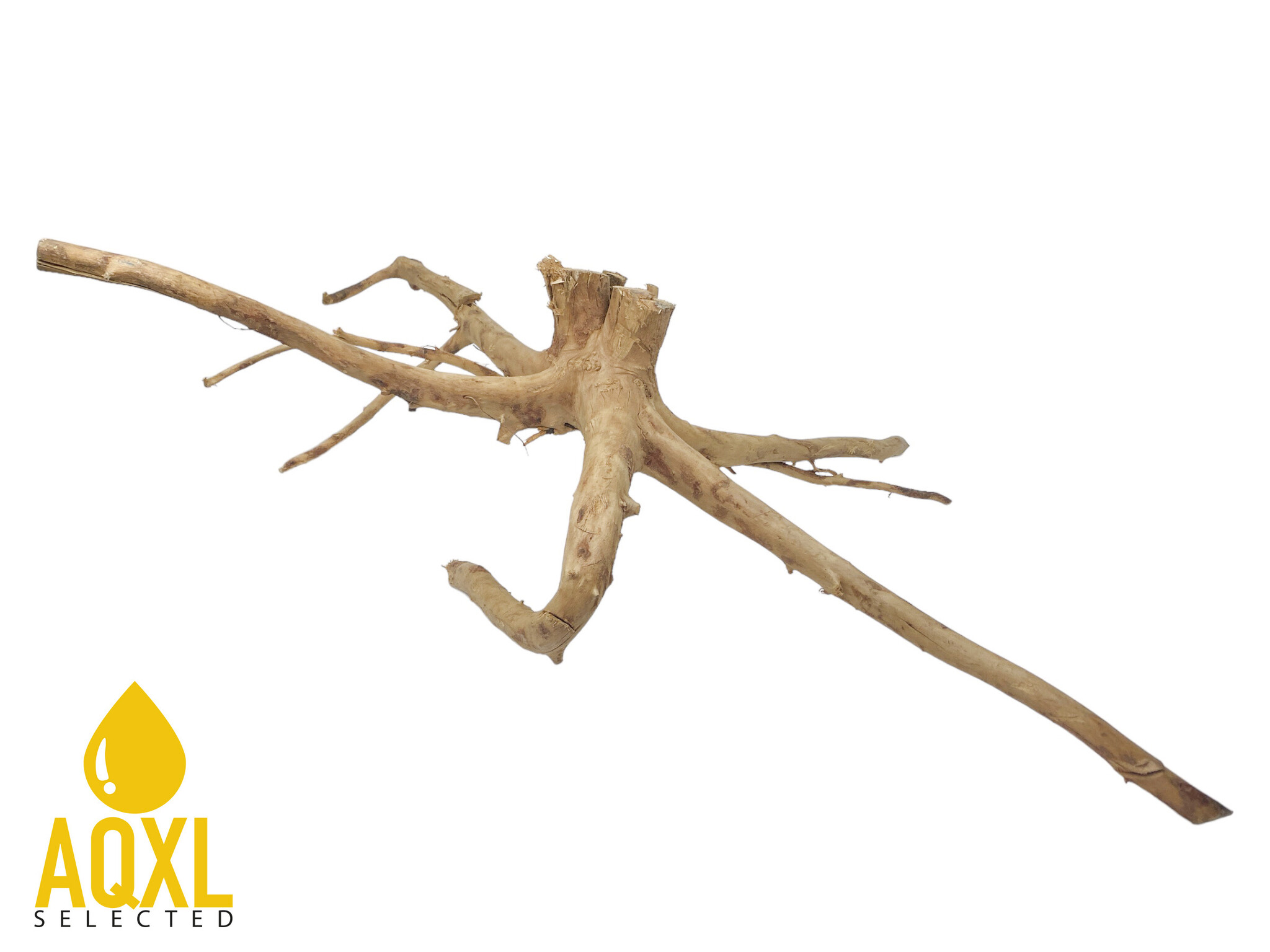Spider Wood XXL