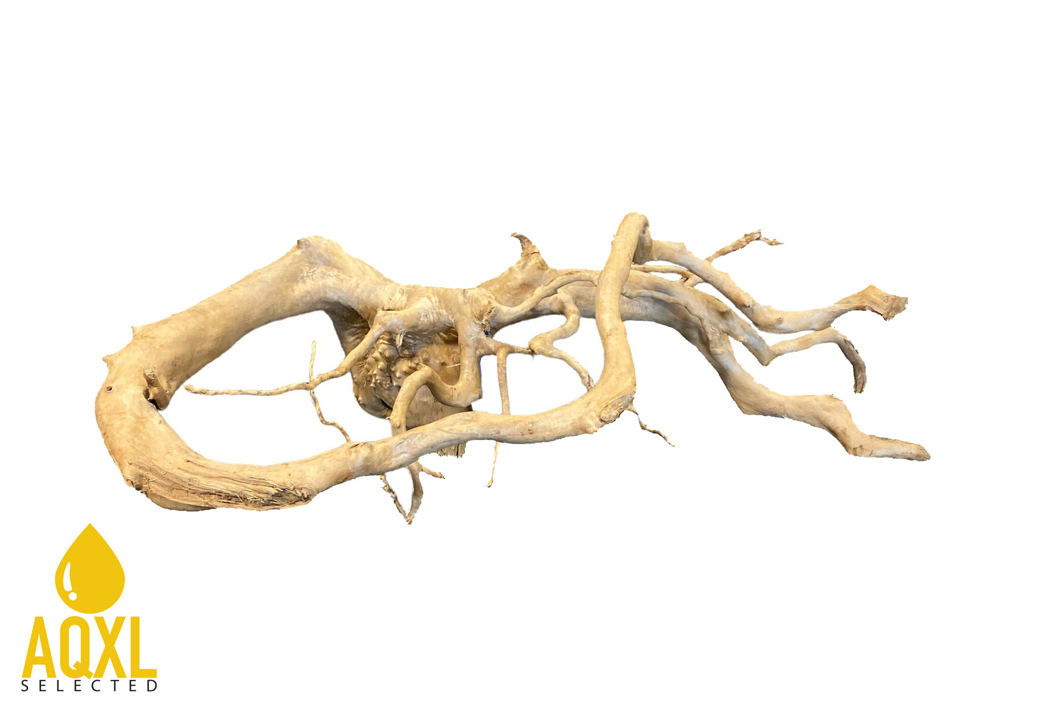 Spider Wood XXL