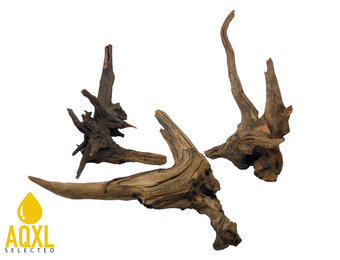 River Wood XL 51-70 CM