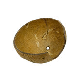 Halve Kokosnoot met opening Ø 12 cm