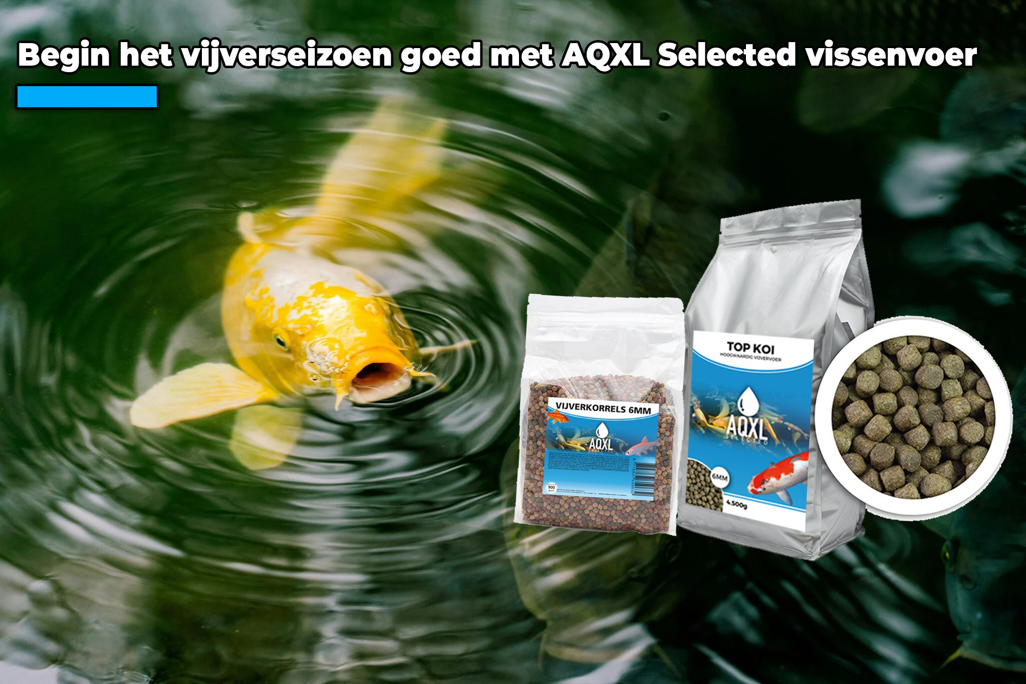 Begin het vijverseizoen goed met AQXL Selected vissenvoer