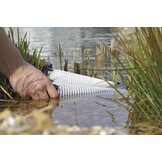 AquaActiv PhosLess Algenprotect