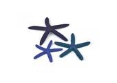 Star Fish blue