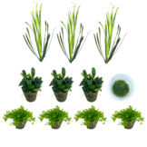 Scaper Aquarium 45 Set