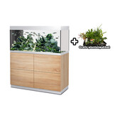 HighLine 300 - Room Divider Aquarium Set Eiken