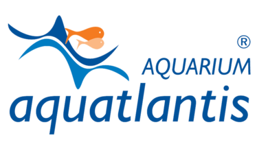 Aquatlantis