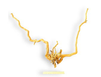 Boomstronk XXL 90 - 120 cm 2,25kg - NR8