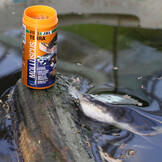 ProTerra Molluscus 2,5L