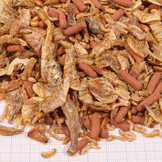 ProTerra Crustarus 2,5L