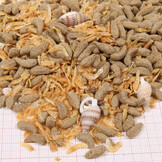 ProTerra Molluscus 250ml