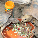 ProTerra Vegabil 1000ml