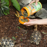 ProTerra Herbil 250ml