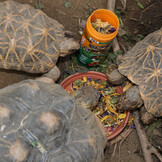 ProTerra Florsil 250ml