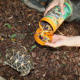 ProTerra Florsil 250ml