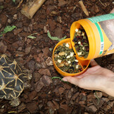 ProTerra Fructil 250ml