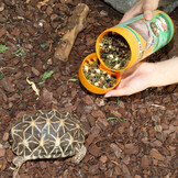 ProTerra Fructil 250ml