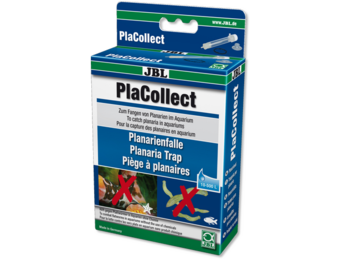 PlaCollect