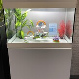 Eenhoorn glow in the dark decoratie bundel