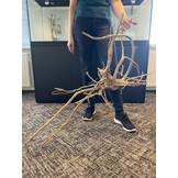 Selected Spider Wood Jumbo 120x70