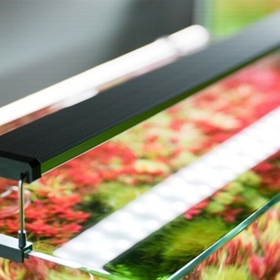 YWBL-WH LED-Aquarienleuchten, Energiesparende Klemmleuchten für