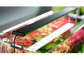 Series B LED-systeem 45-65 CM