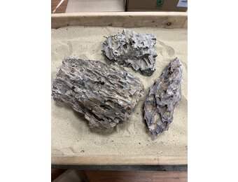 Steenbundel A Dragon Rock bruin 3 stuks