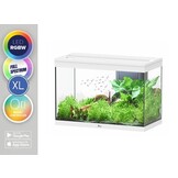 Aquarium Splendid 80 Ultra RGBW Biobox