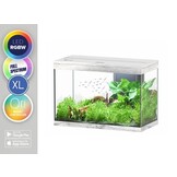 Aquarium Splendid 80 Ultra RGBW Biobox
