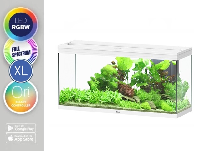 Aquarium Splendid 120x40 Ultra RGBW Biobox