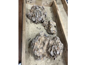 B Steenbundel Dragon Rock bruin 3 stuks