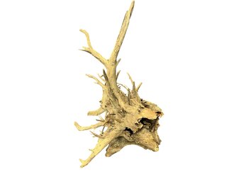 Corbo Root XL NR03 7,6kg