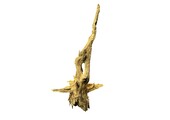 Corbo Root XL NR04 4,7kg