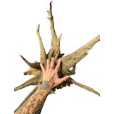 Corbo Root XL 01 3,9 kg