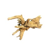 Corbo Root XL NR05 8,6kg