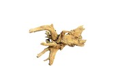 Corbo Root XL NR05 8,6kg