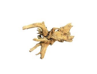 Corbo Root XL NR05 8,6kg