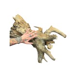Corbo Root XL NR05 8,6kg