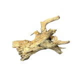 Corbo Root XL NR05 8,6kg