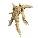 Corbo Root XL NR06 3,4kg