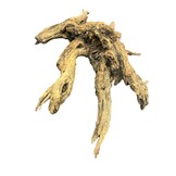 Corbo Root XL NR06 3,4kg