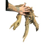 Corbo Root XL NR06 3,4kg