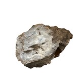 Selected Mini Landscape XL 9.5-10Kg