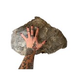 Selected Mini Landscape XL 9.5-10Kg