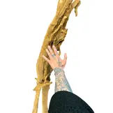 Selected Mangrovehout XL NR02 90-120cm