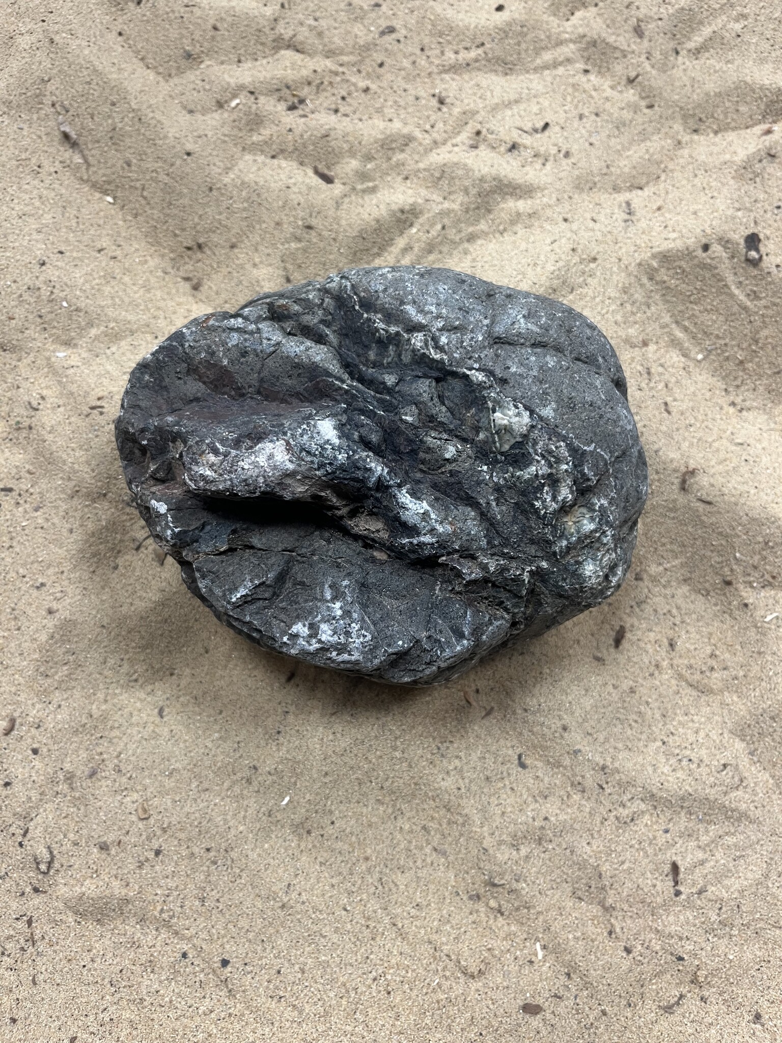 Selected Elephant Rock L 2-3.2Kg