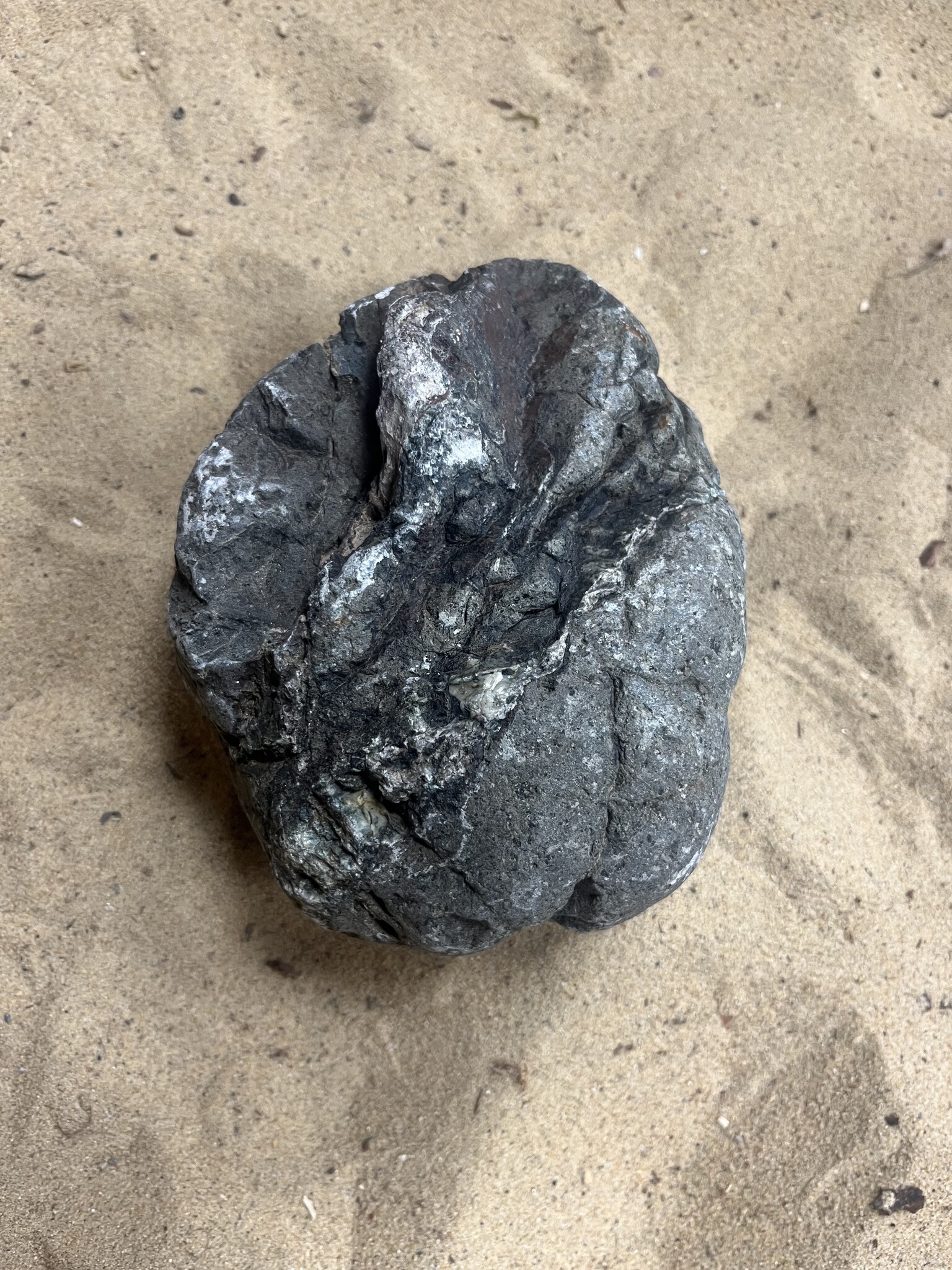 Selected Elephant Rock L 2-3.2Kg