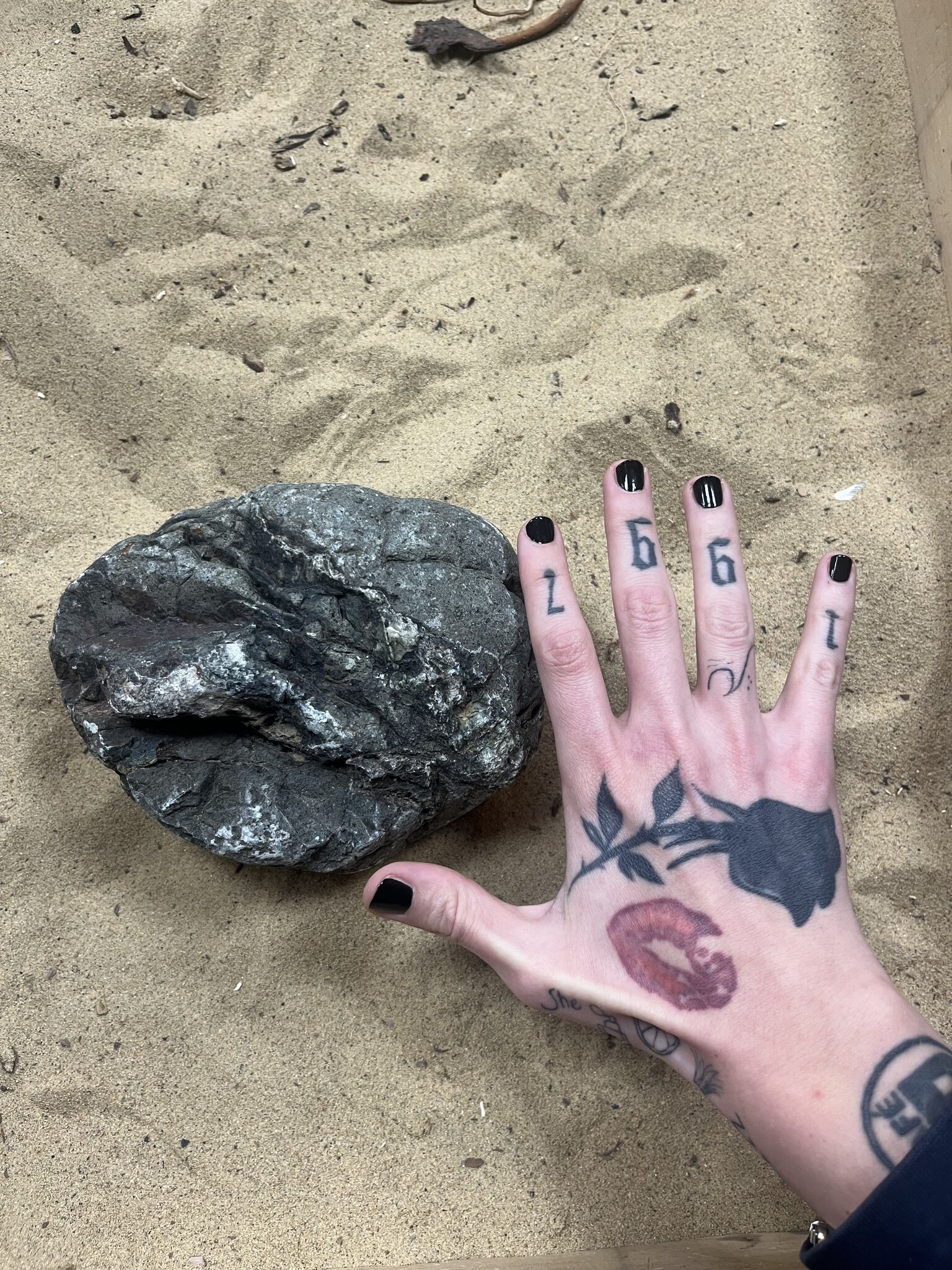 Selected Elephant Rock L 2-3.2Kg