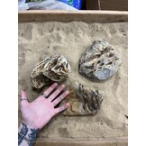 A Steenbundel Kowloon Rock 3 stuks